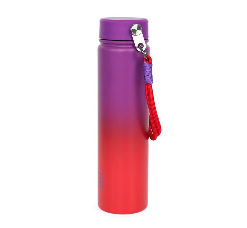 0161034588001---GARRAFA-BBB-25-750ML--ROXO-U--2-