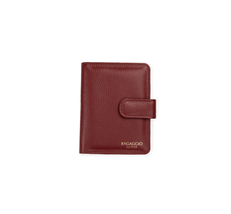 0098451651001---CARTEIRA-COMPLETA-LINGUETA-COURO-BASIC--VERMELHO--1-.png