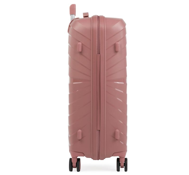 0018554586004---MALA-ROVER-MED-ROSE--5-
